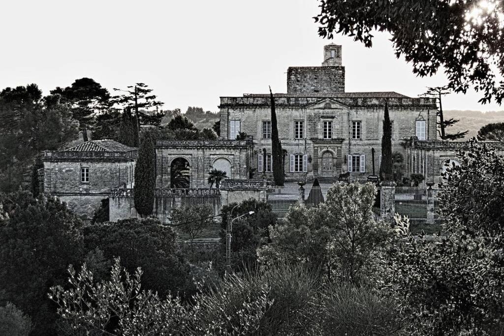 Studio Entre Cevennes Et Camargue Montfrin Exterior foto